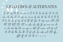 Load image into Gallery viewer, Rushtick - Free Signature Font
