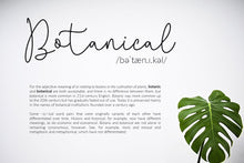 Load image into Gallery viewer, Questa Whitte - Free Handwritten Script Font
