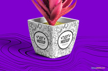 Load image into Gallery viewer, Free Plant Pot Mockup
